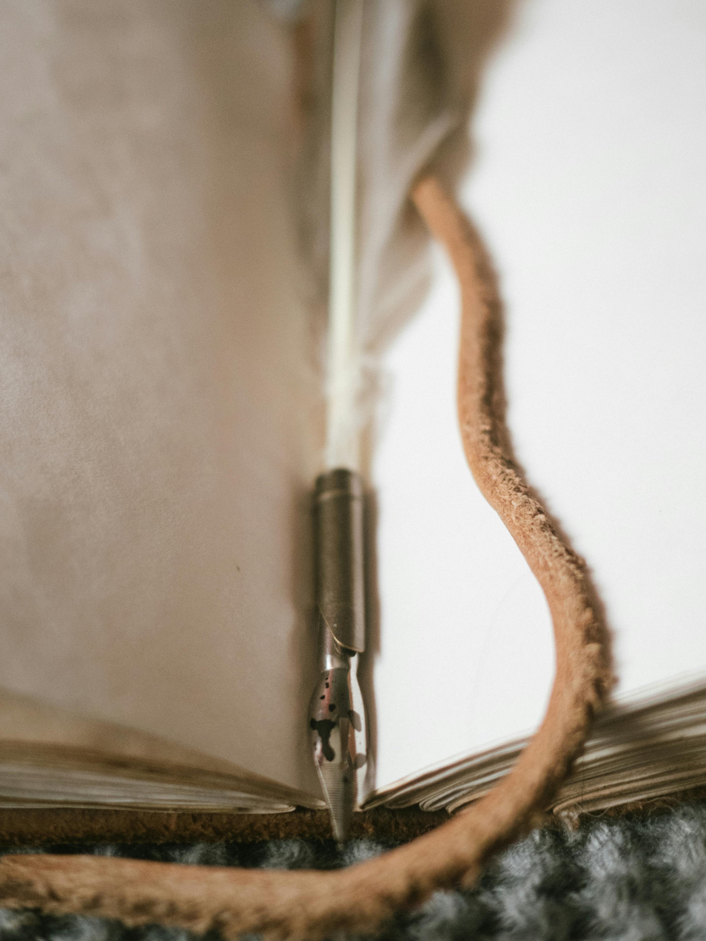 Best 5 Options for Signing Checks Over: Practical Guide for 2025