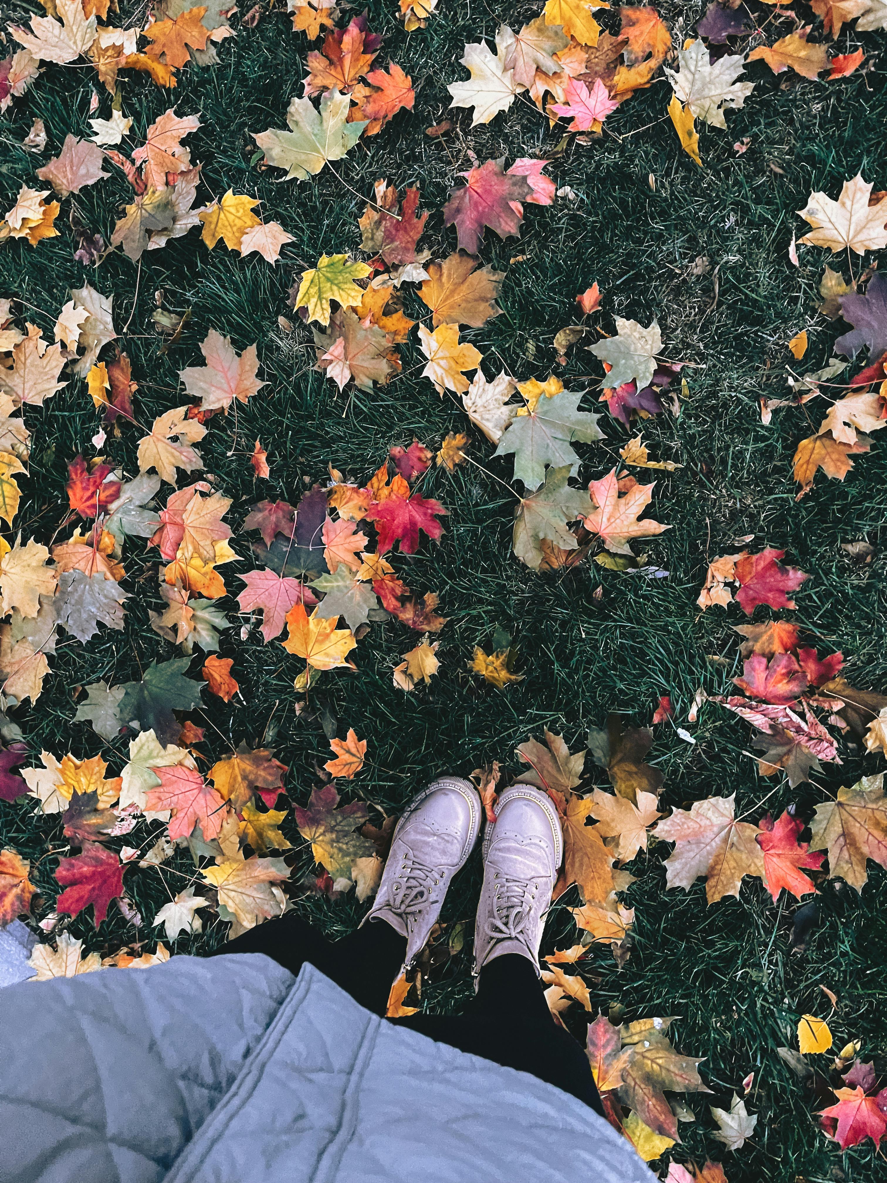 How to Effectively Post More Than 10 Photos on Instagram in 2025