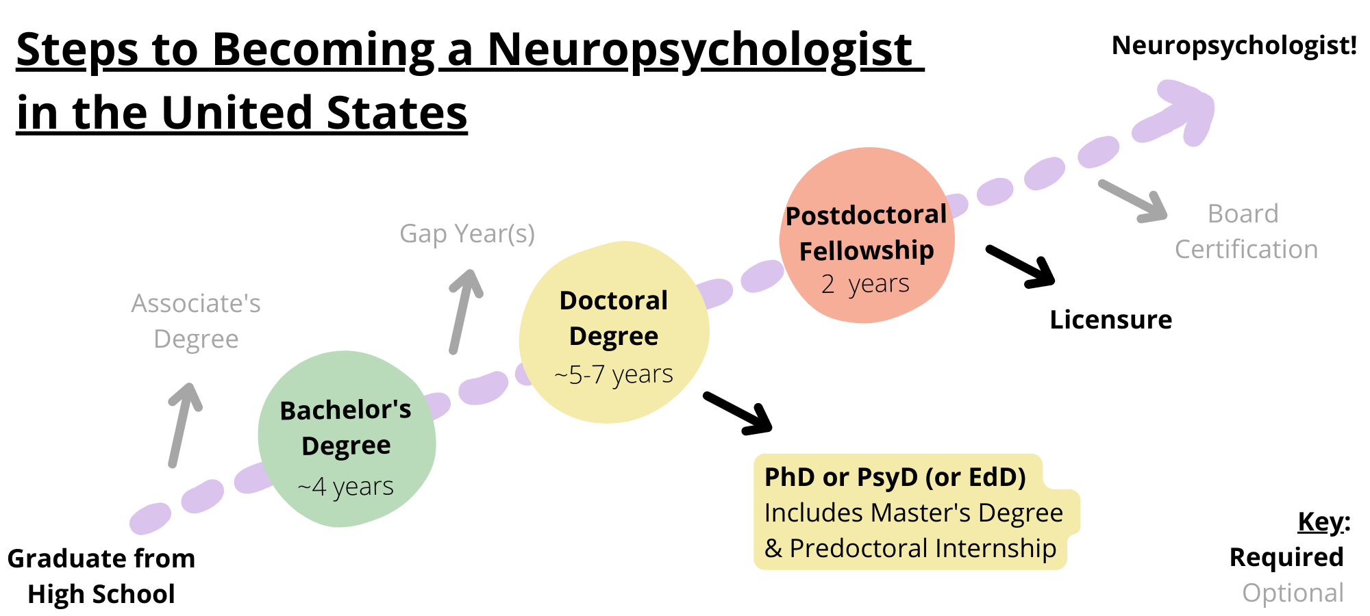 Neuropsychologist Career Path