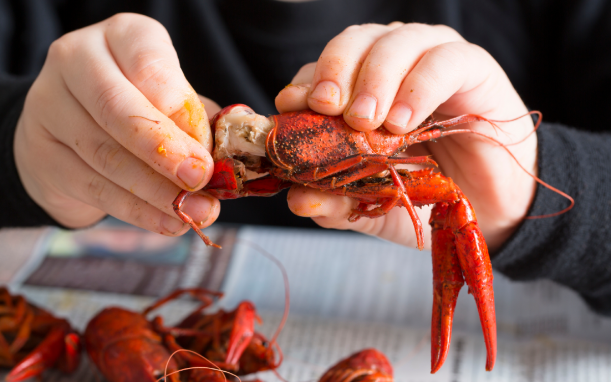 How to Eat Crawfish