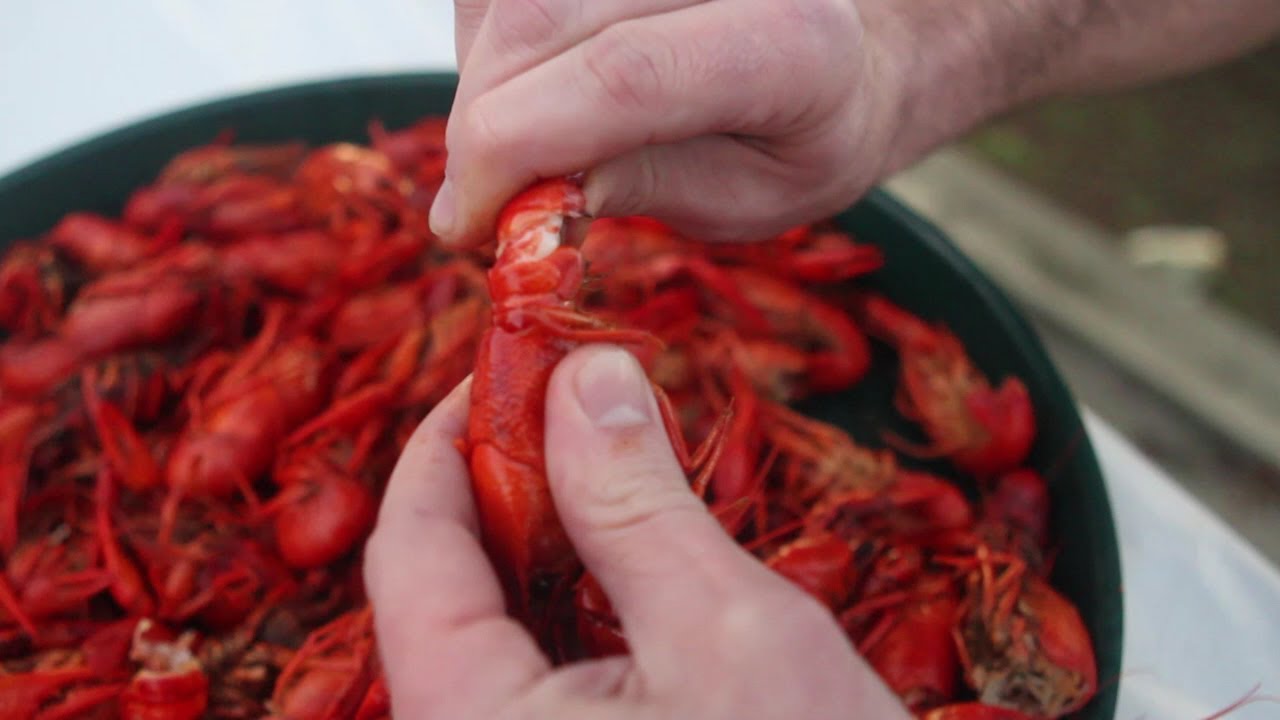 Enjoying Crawfish