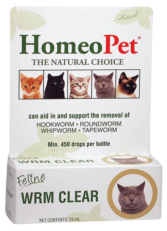 Guide for Treating Worms in Cats