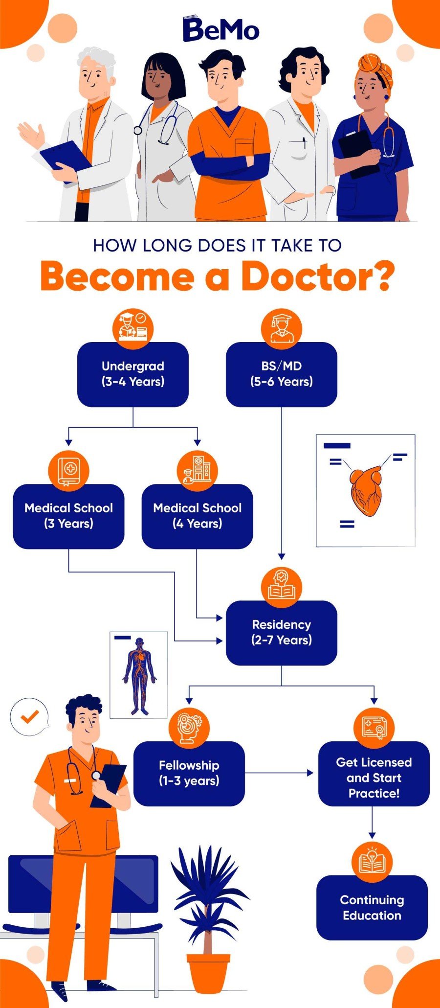 Medical education timeline