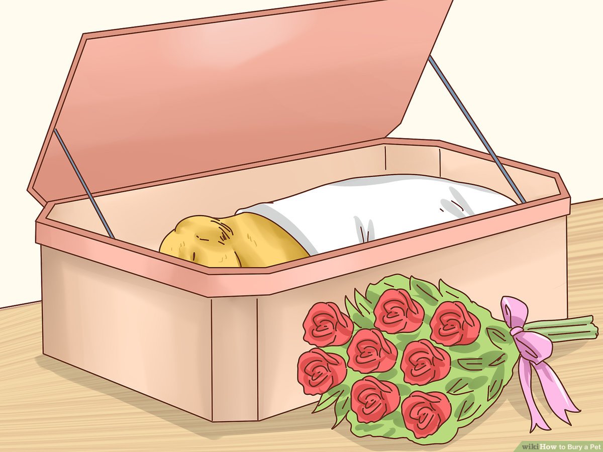 How to Bury a Dog Guide