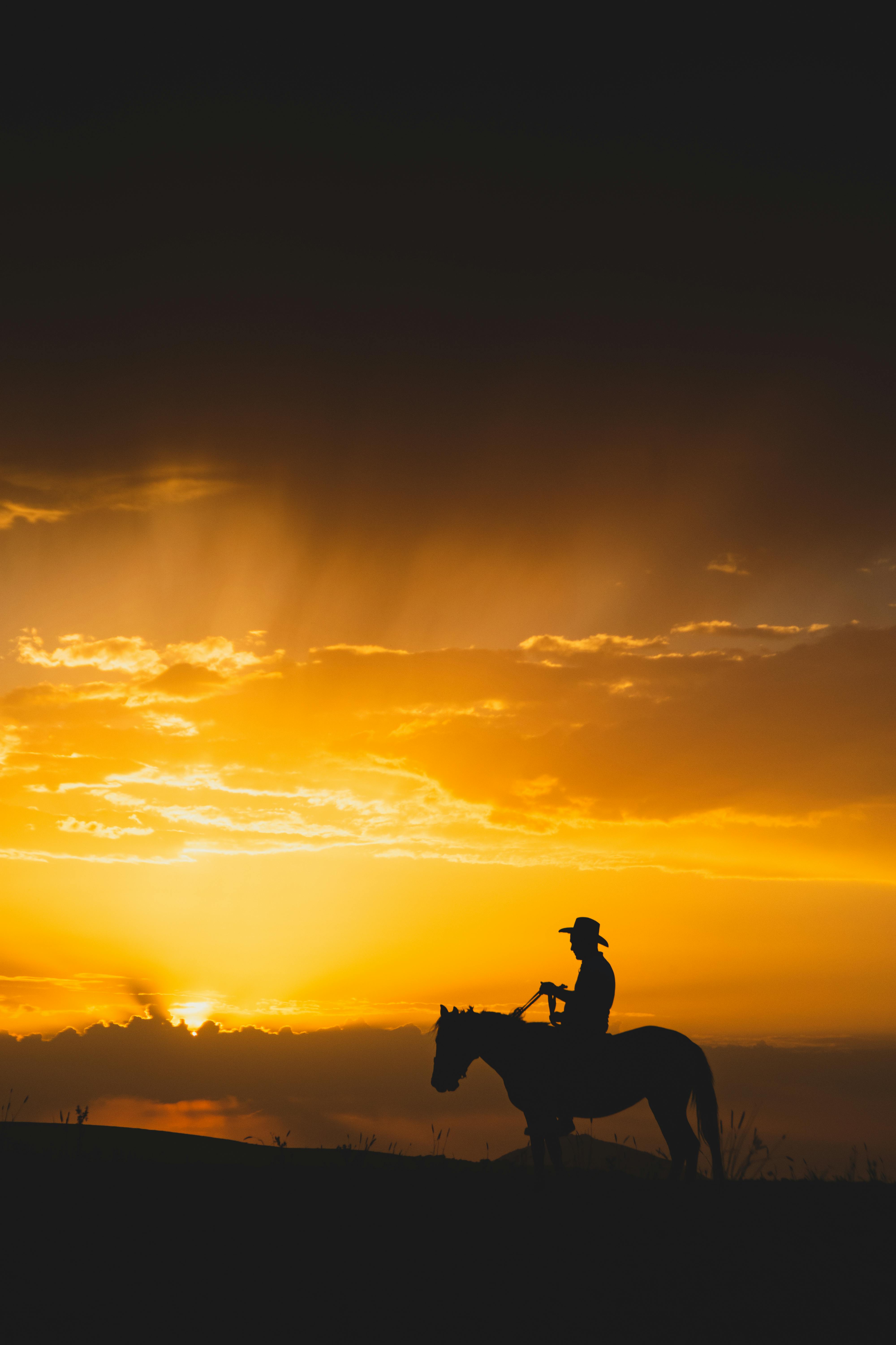 A cowboy in action